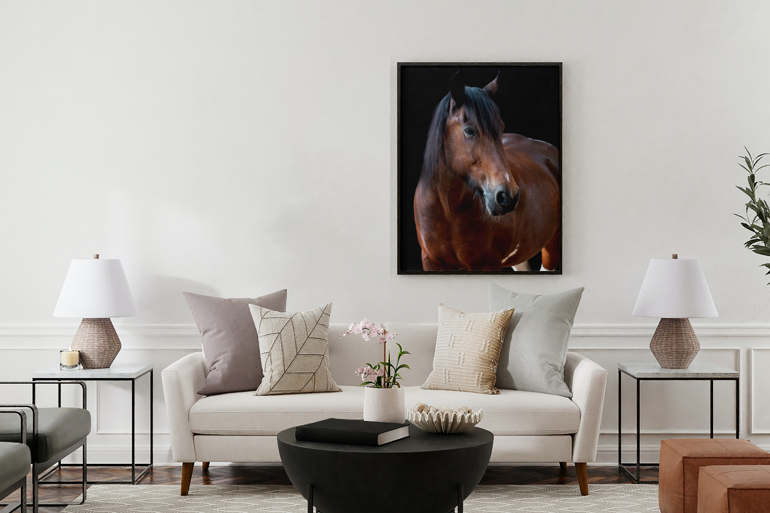 Natürlicher Moment zwischen Mensch und Pferd